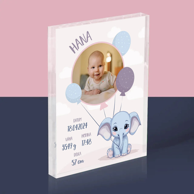 Údaje O Narození Ditěte: Údaje O Narození Slůně - Akrylový Blok