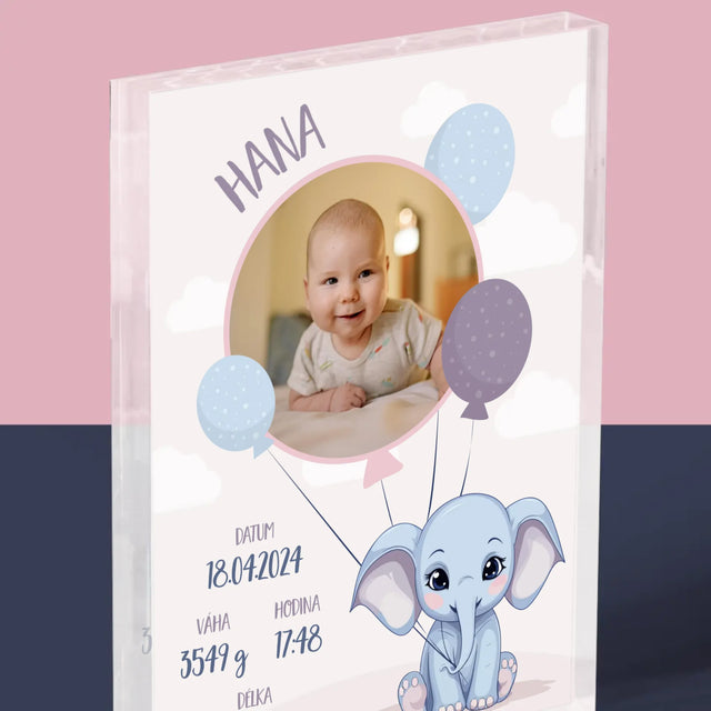 Údaje O Narození Ditěte: Údaje O Narození Slůně - Akrylový Blok