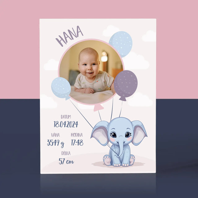 Údaje O Narození Ditěte: Údaje O Narození Slůně - Akrylový Blok