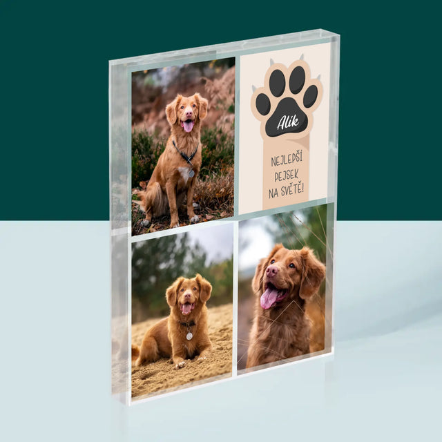 Fotokoláž: Nejlepší Pejsek - Akrylový Blok