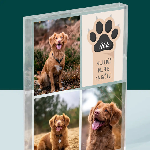 Fotokoláž: Nejlepší Pejsek - Akrylový Blok