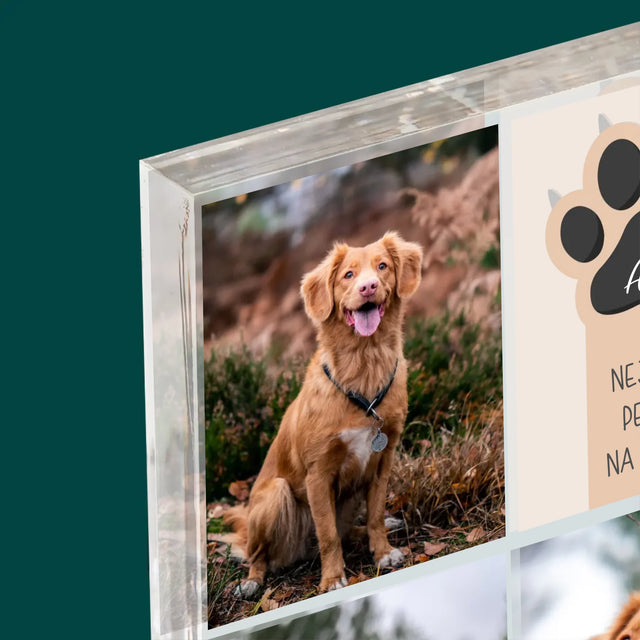 Fotokoláž: Nejlepší Pejsek - Akrylový Blok