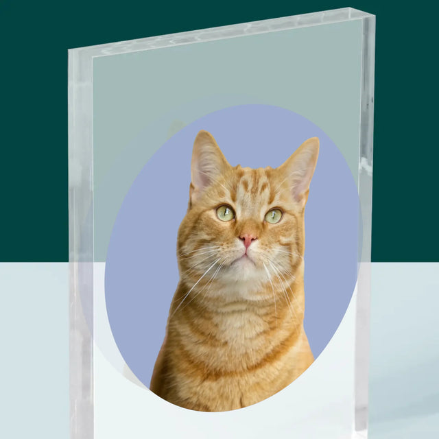 Fotka: Tvoje Kočka - Akrylový Blok