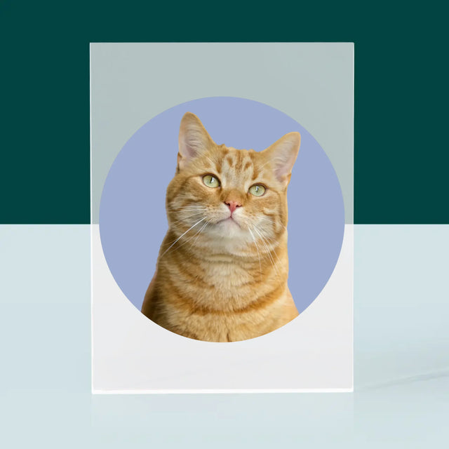 Fotka: Tvoje Kočka - Akrylový Blok