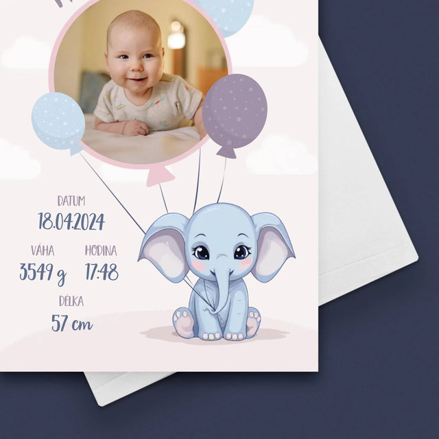 Údaje O Narození Ditěte: Údaje O Narození Slůně - Přání