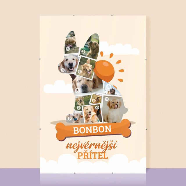 Tvar Z Fotek: Pes - Plakát