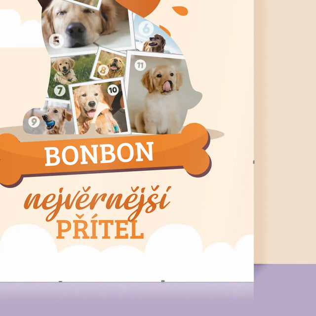 Tvar Z Fotek: Pes - Plakát