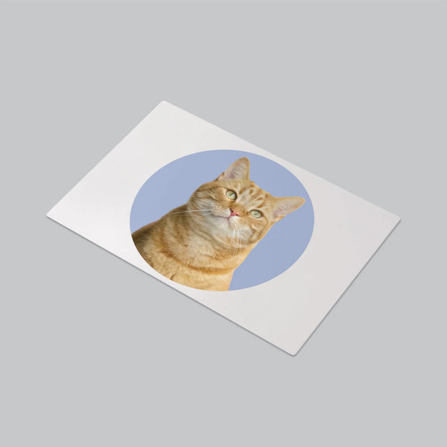 Fotka: Tvoje Kočka - Podložka Na Psací Stůl