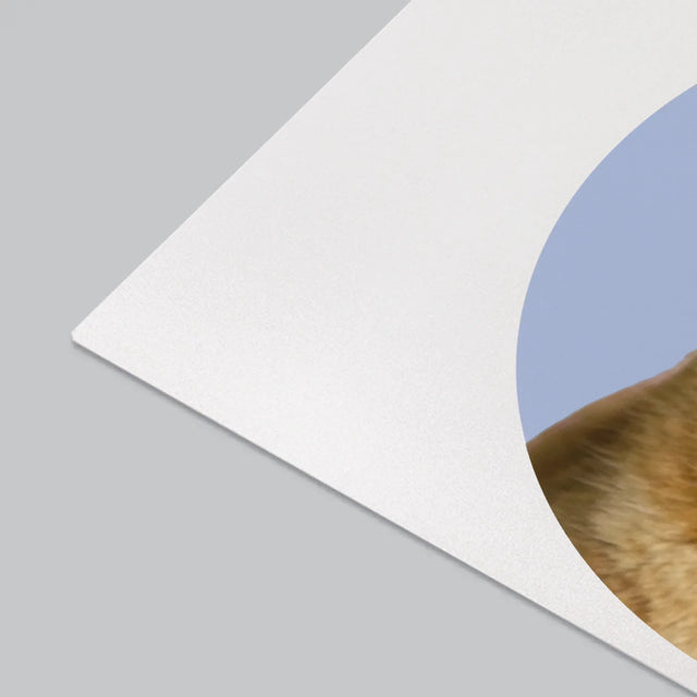 Fotka: Tvoje Kočka - Podložka Na Psací Stůl