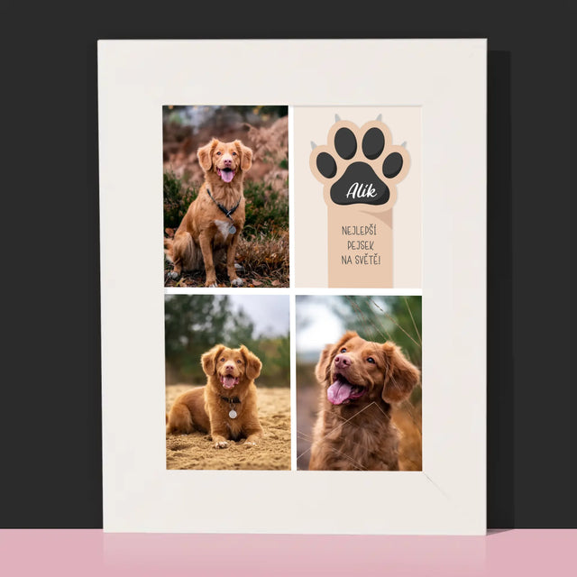 Fotokoláž: Nejlepší Pejsek - Fotorámeček