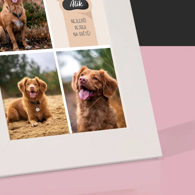 Fotokoláž: Nejlepší Pejsek - Fotorámeček