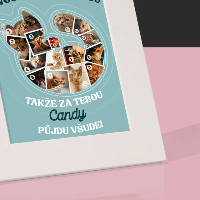 Tvar Z Fotek: Kočka - Fotorámeček