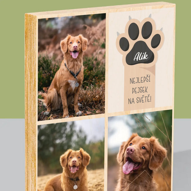 Fotokoláž: Nejlepší Pejsek - Tisk Na Dřevo