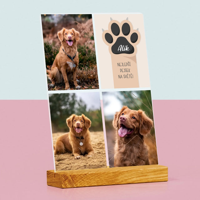 Fotokoláž: Nejlepší Pejsek - Tisk Na Akrylovém Skle