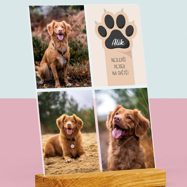 Fotokoláž: Nejlepší Pejsek - Tisk Na Akrylovém Skle