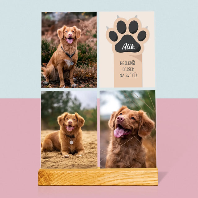 Fotokoláž: Nejlepší Pejsek - Tisk Na Akrylovém Skle