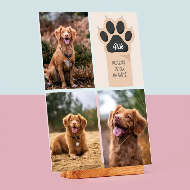 Fotokoláž: Nejlepší Pejsek - Tisk Na Akrylovém Skle