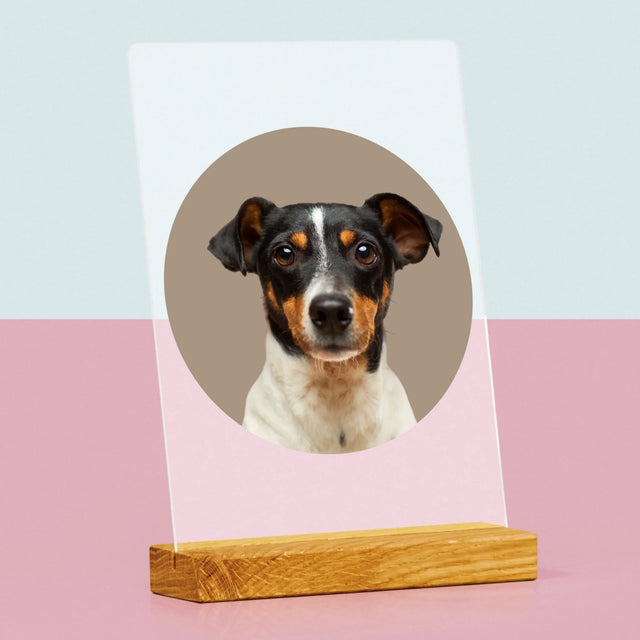 Fotka: Tvůj Pes - Tisk Na Akrylovém Skle