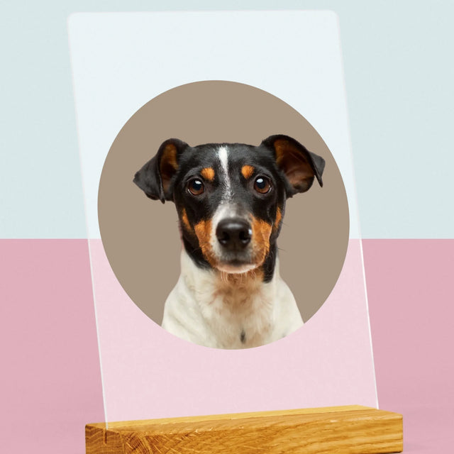 Fotka: Tvůj Pes - Tisk Na Akrylovém Skle