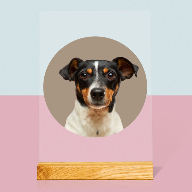 Fotka: Tvůj Pes - Tisk Na Akrylovém Skle