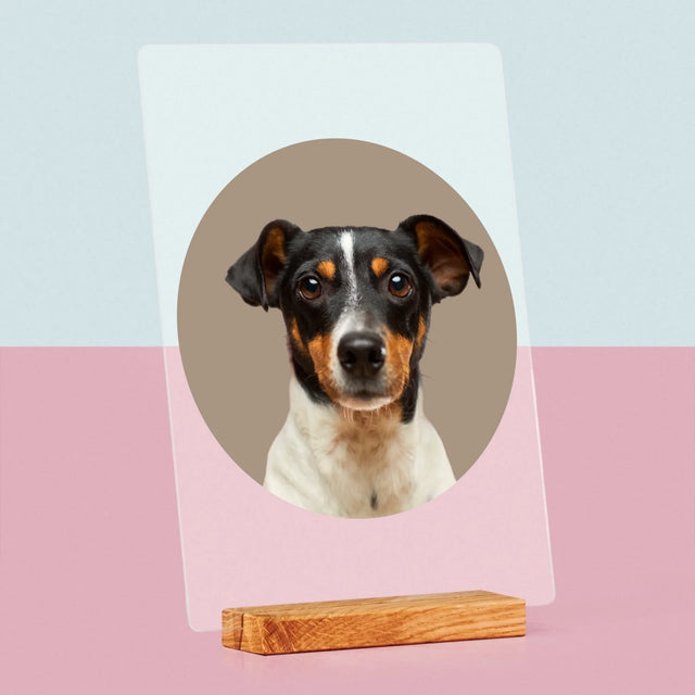 Fotka: Tvůj Pes - Tisk Na Akrylovém Skle