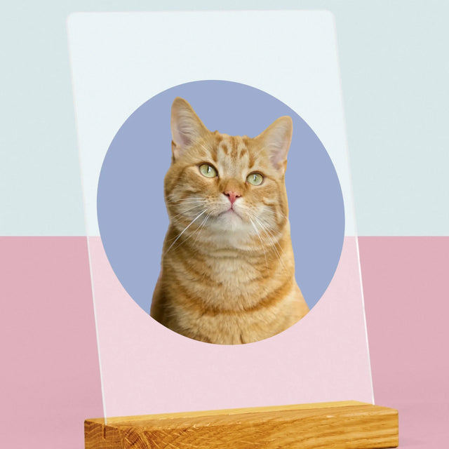 Fotka: Tvoje Kočka - Tisk Na Akrylovém Skle