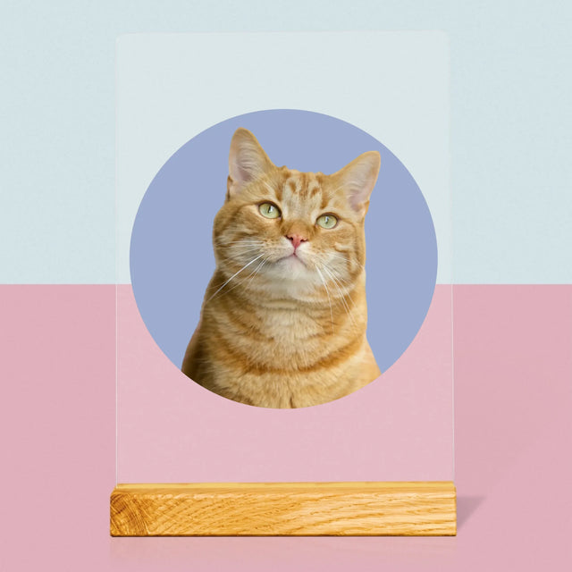 Fotka: Tvoje Kočka - Tisk Na Akrylovém Skle