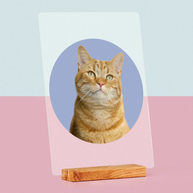 Fotka: Tvoje Kočka - Tisk Na Akrylovém Skle