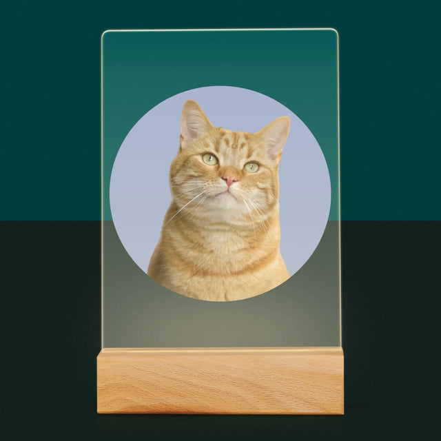 Fotka: Tvoje Kočka - Tisk Na Akrylovém Skle