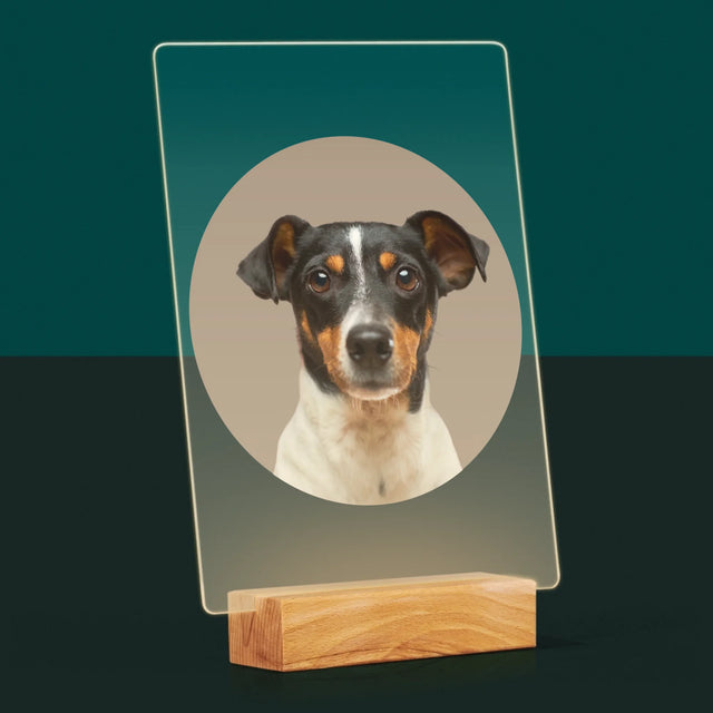 Fotka: Tvůj Pes - Tisk Na Akrylovém Skle