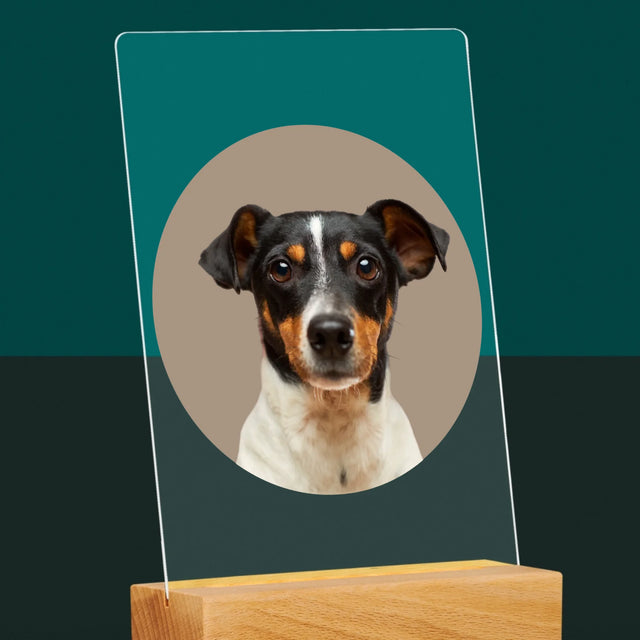 Fotka: Tvůj Pes - Tisk Na Akrylovém Skle