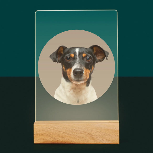 Fotka: Tvůj Pes - Tisk Na Akrylovém Skle