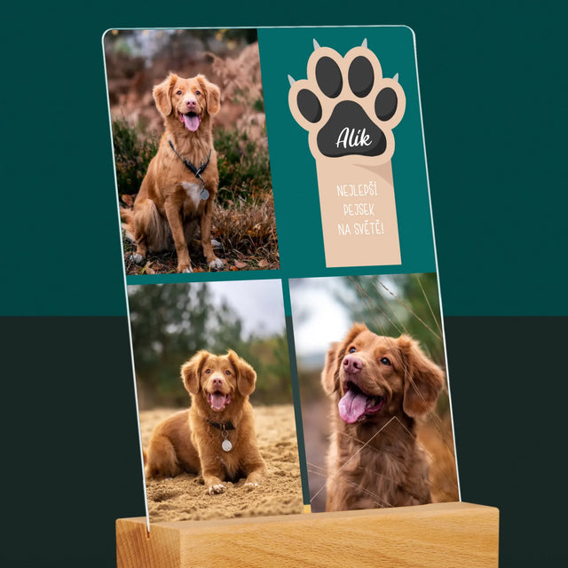 Fotokoláž: Nejlepší Pejsek - Tisk Na Akrylovém Skle
