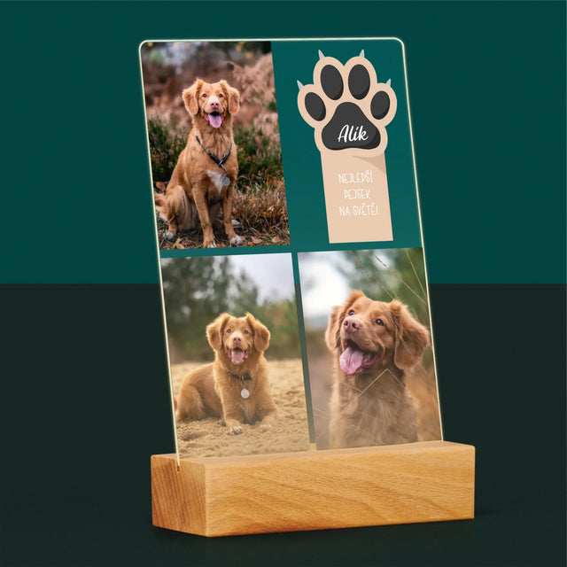 Fotokoláž: Nejlepší Pejsek - Tisk Na Akrylovém Skle