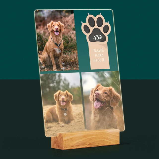 Fotokoláž: Nejlepší Pejsek - Tisk Na Akrylovém Skle