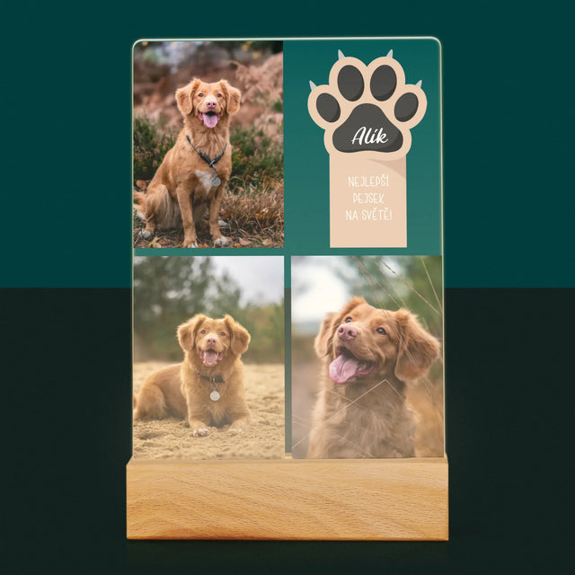 Fotokoláž: Nejlepší Pejsek - Tisk Na Akrylovém Skle
