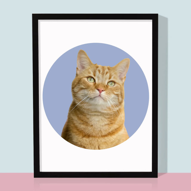 Fotka: Tvoje Kočka - Tisk V Rámečku