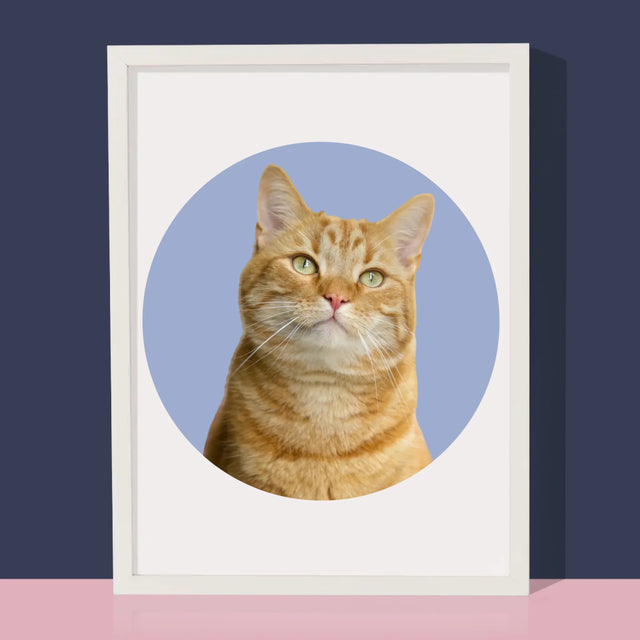 Fotka: Tvoje Kočka - Tisk V Rámečku
