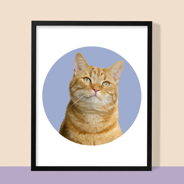 Fotka: Tvoje Kočka - Tisk V Rámečku