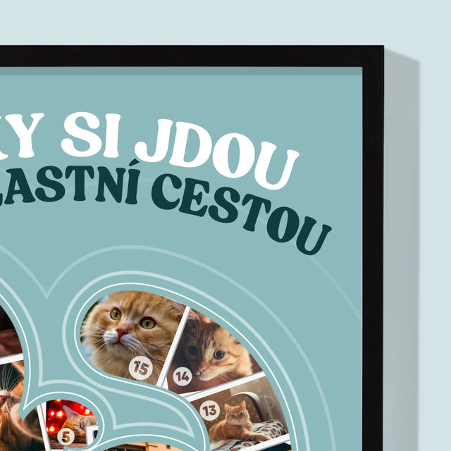 Tvar Z Fotek: Kočka - Tisk V Rámečku