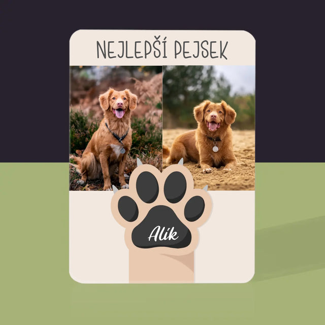 Fotokoláž: Nejlepší Pejsek - Hrací Karty