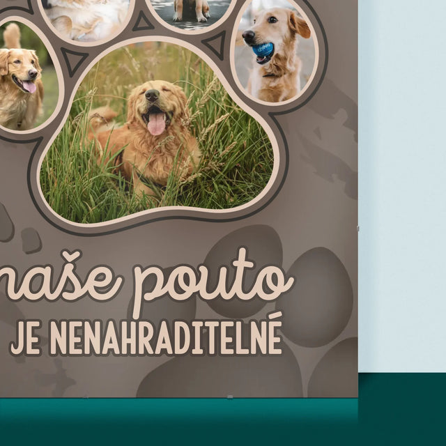 Tvar Z Fotek: Otisk Tlapky - Plakát