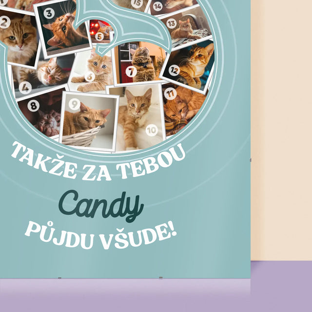 Tvar Z Fotek: Kočka - Plakát