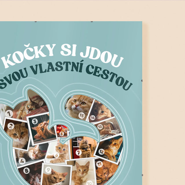 Tvar Z Fotek: Kočka - Plakát