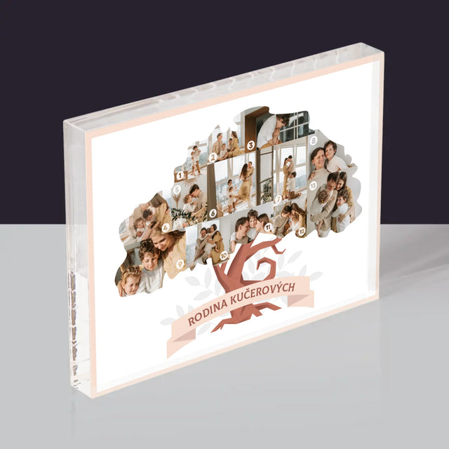 Tvar Z Fotek: Rodinný Strom - Akrylový Blok