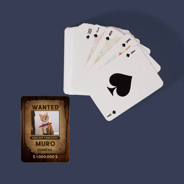 Foto a popis: Nejlepší šéf - Hrací karty | CZ