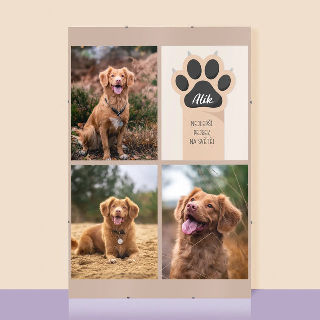 Fotokoláž: Nejlepší Pejsek - Plakát