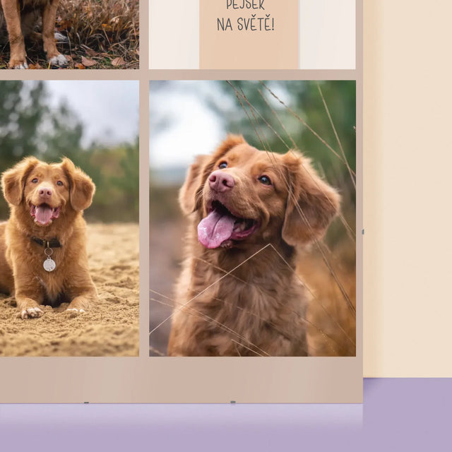 Fotokoláž: Nejlepší Pejsek - Plakát