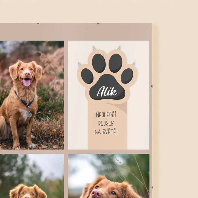 Fotokoláž: Nejlepší Pejsek - Plakát