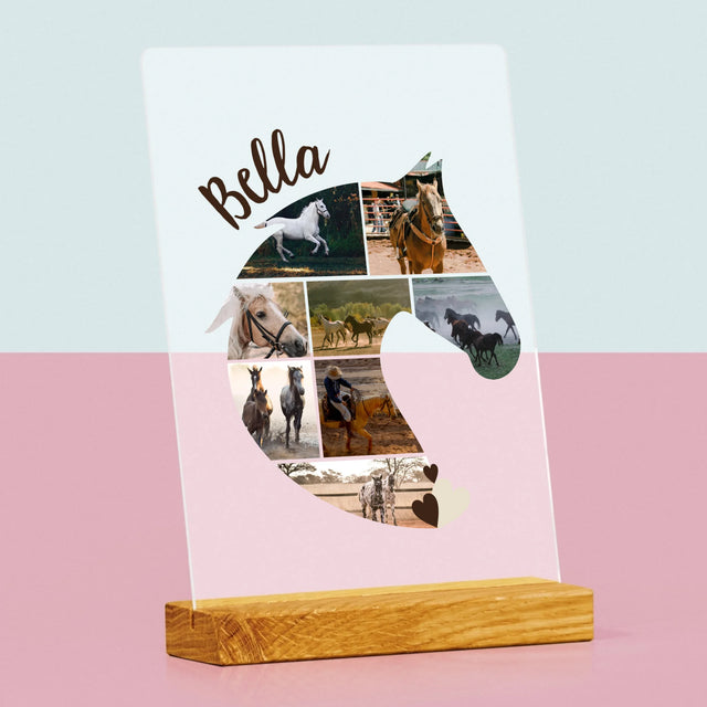 Tvar Z Fotek: Kůň - Tisk Na Akrylovém Skle